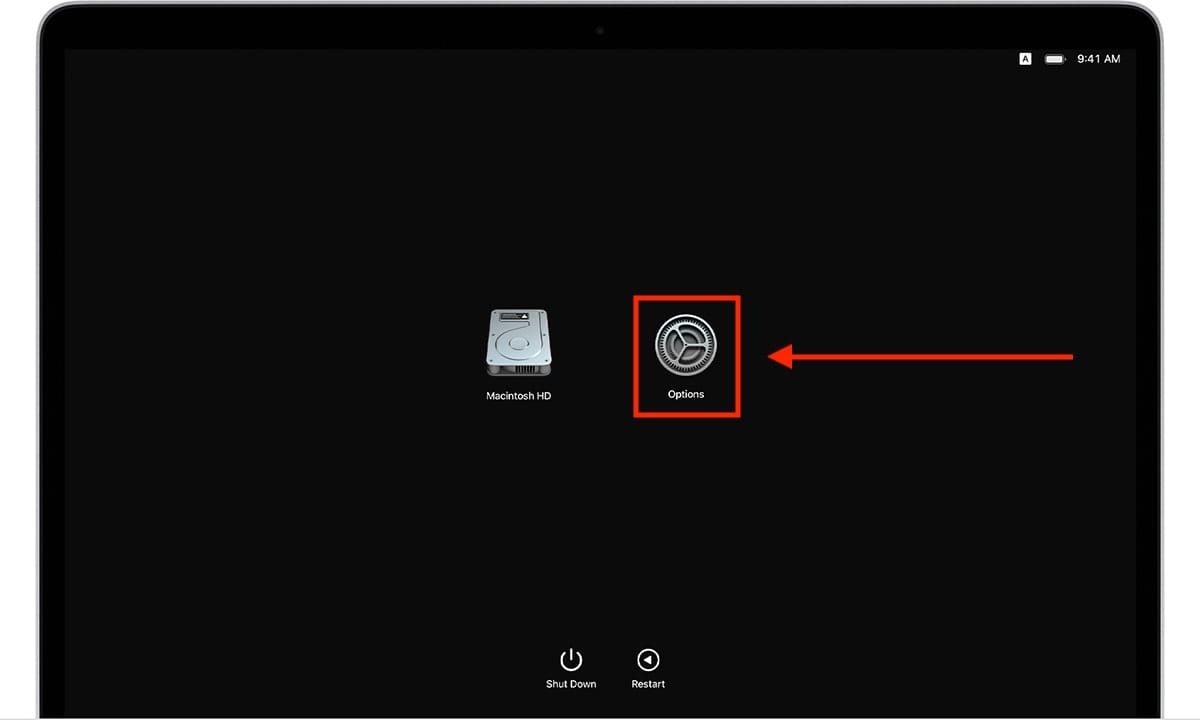 macos-big-sur-as-recovery-options.jpg